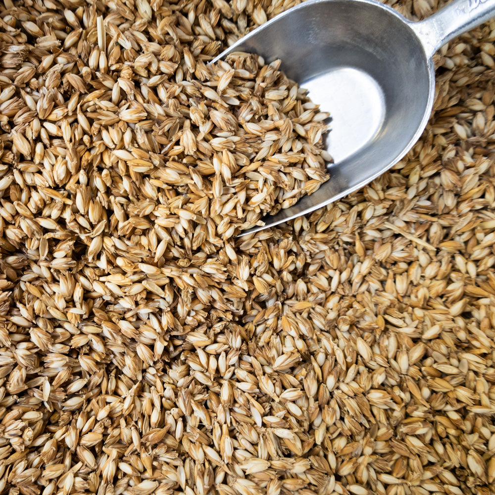 Natur-Kopfkissen "Mix" mit Steppbezug Bio